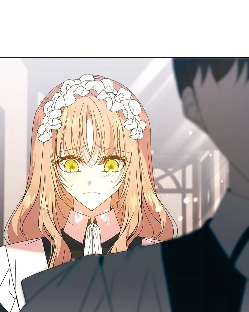 46528890 800 1000 55168