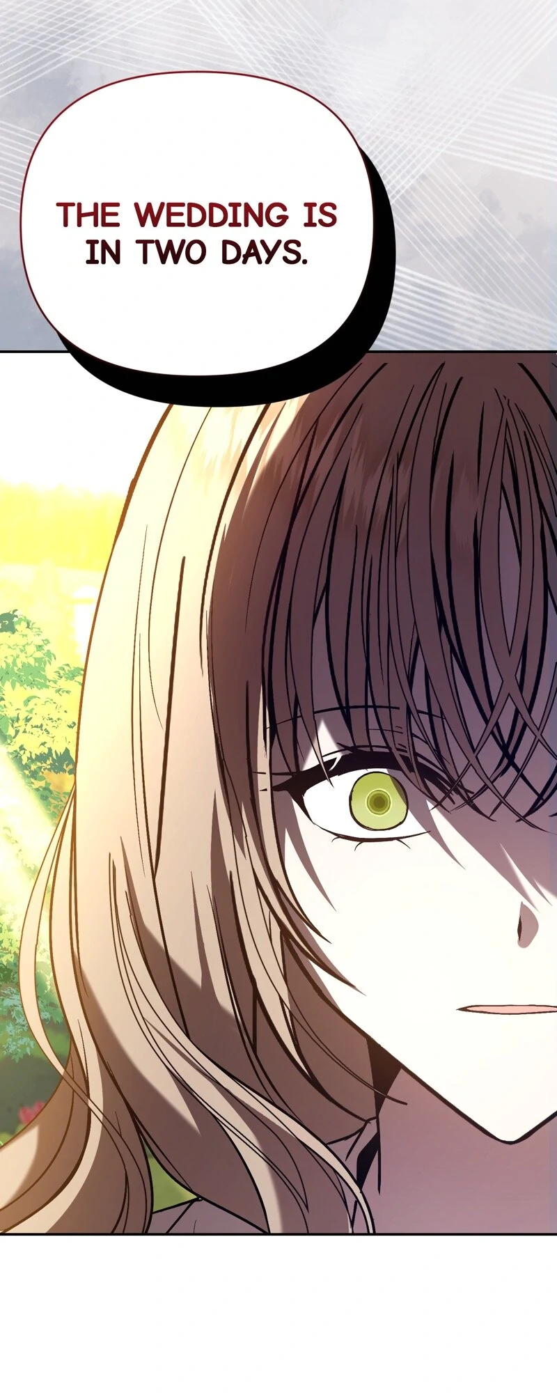 68814007 800 2000 159228