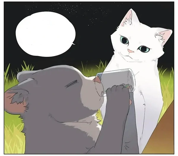 Kehidupan Kucing Saat Babu-nya Sakit😼